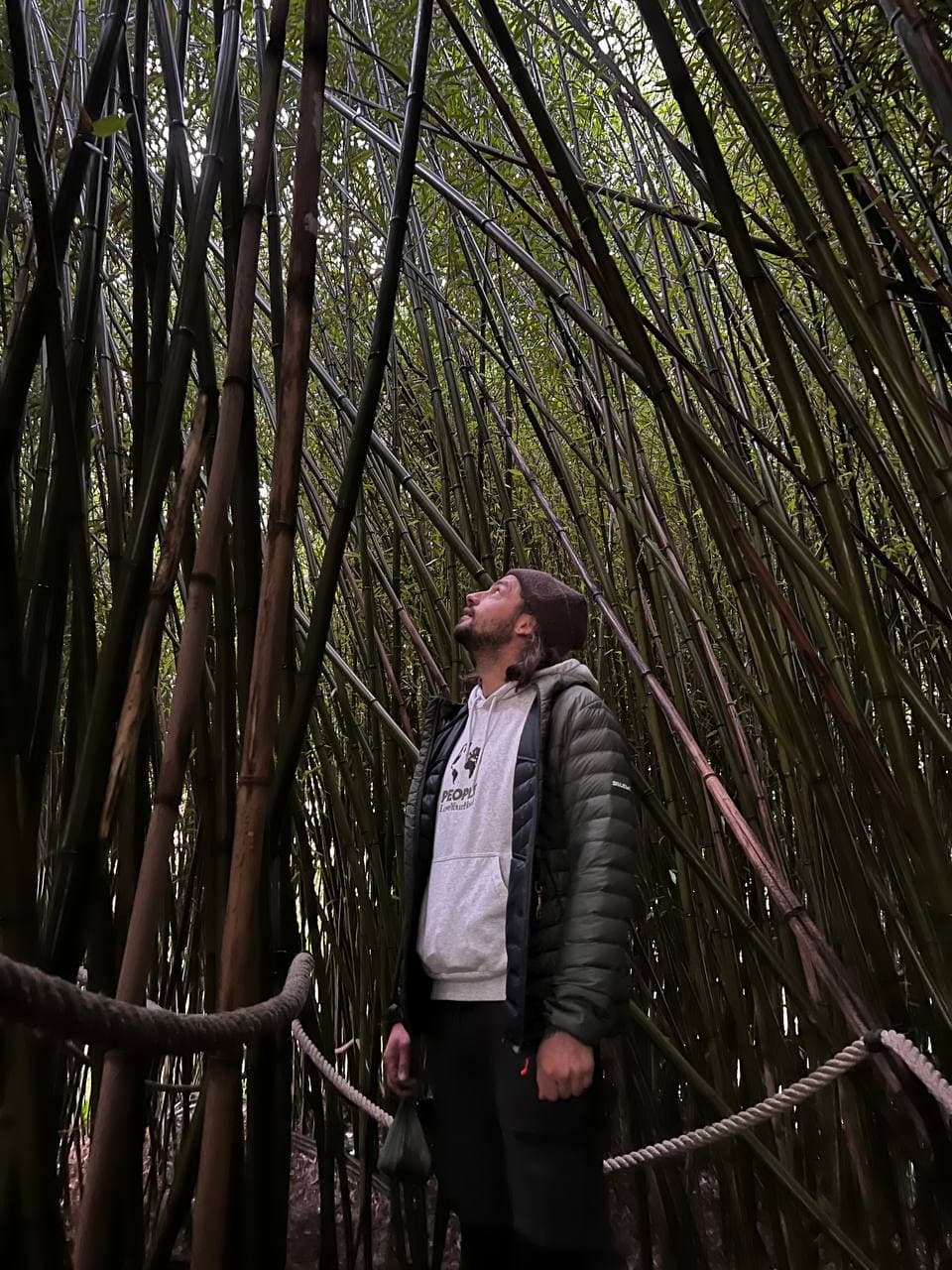 Martijn Smeets exploring a bamboo forest, reflecting the adventurous remote entrepreneur and community builder lifestyle.