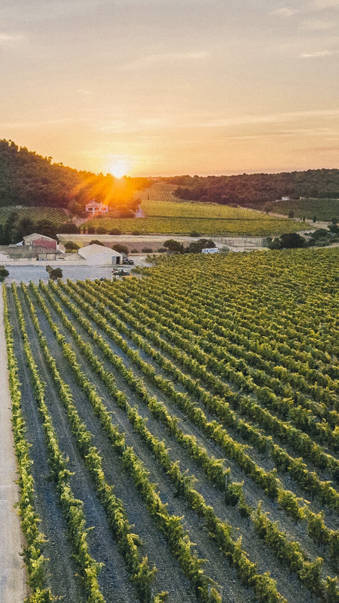 French vineyard company offsite accessible by train