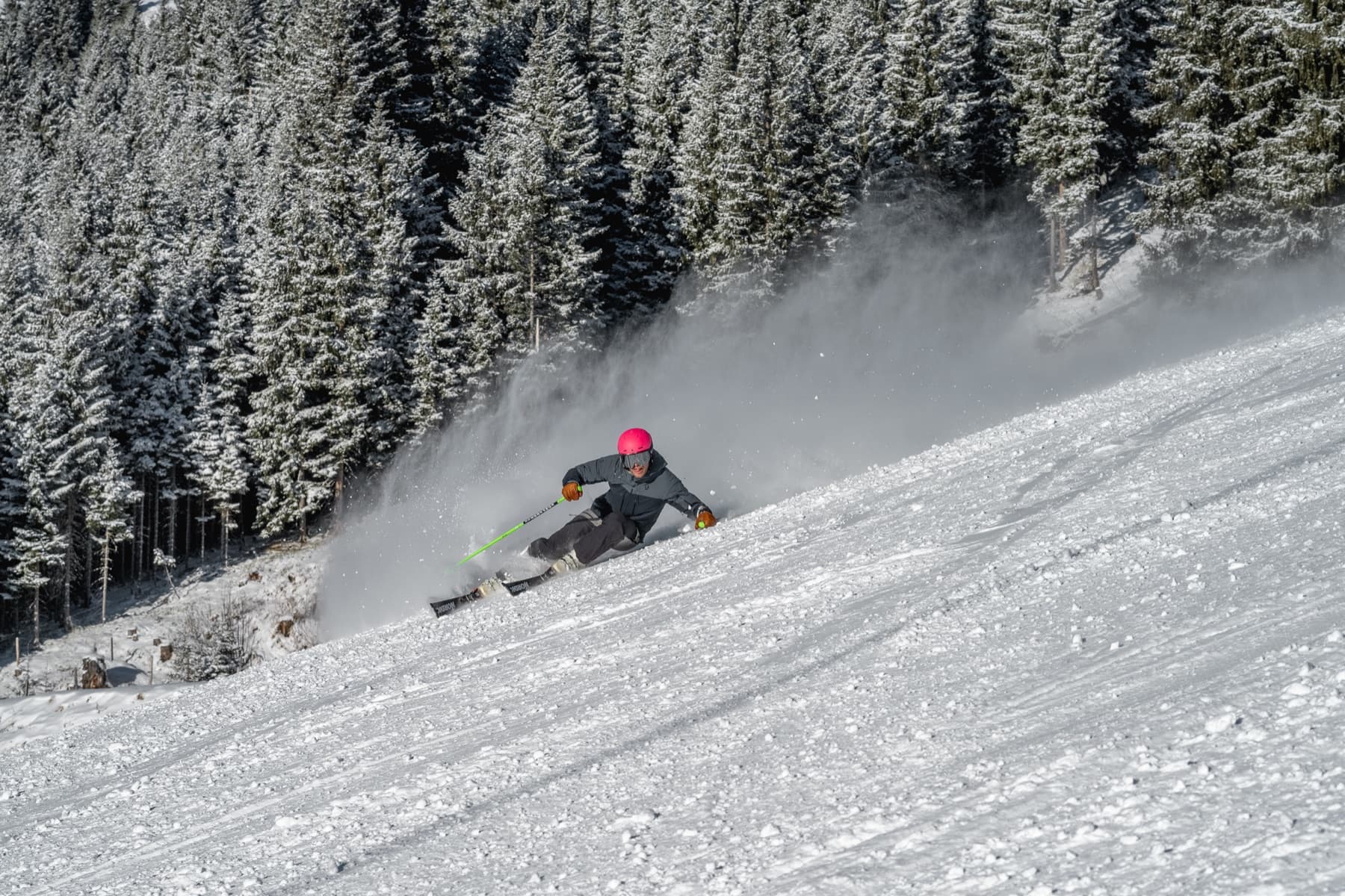 Skiër maakt een bocht op een geprepareerde piste met besneeuwde bomen erachter