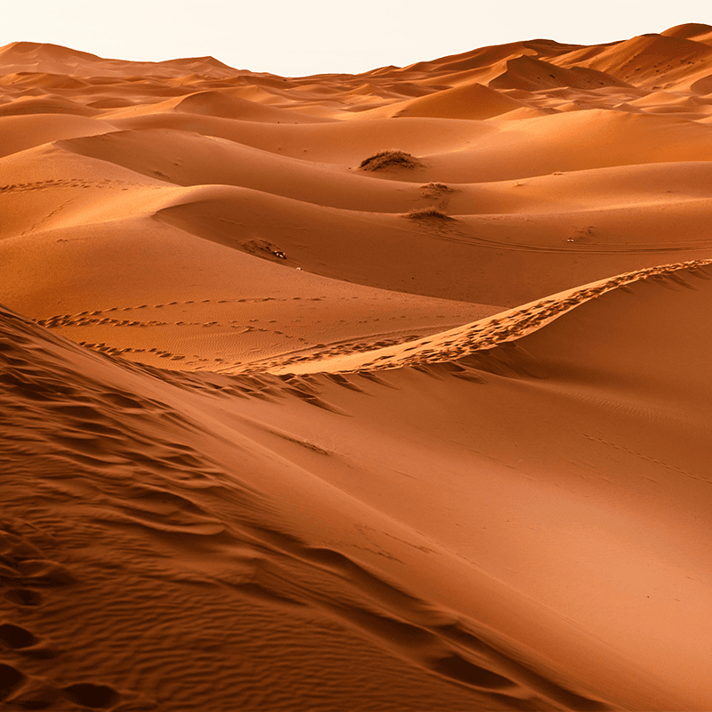 Agafay desert sand dunes Morocco for adventure team building and edge of comfort retreats