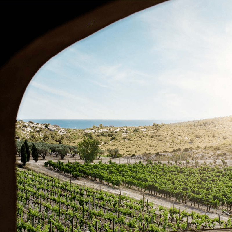 French vineyard view through stone archway overlooking Mediterranean coast for team retreat venues