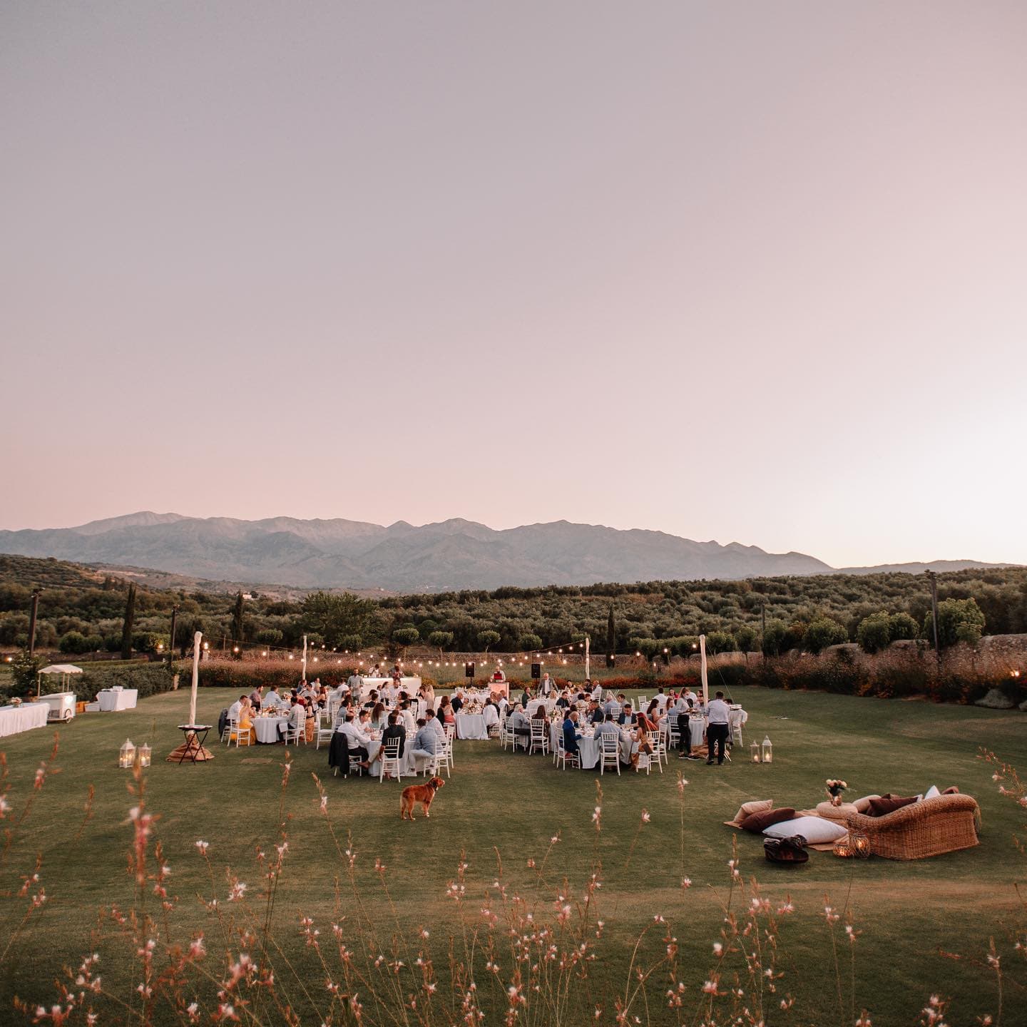 A whole company gathered on the lawn at dusk in Greece, milestone dinner of a company offsite