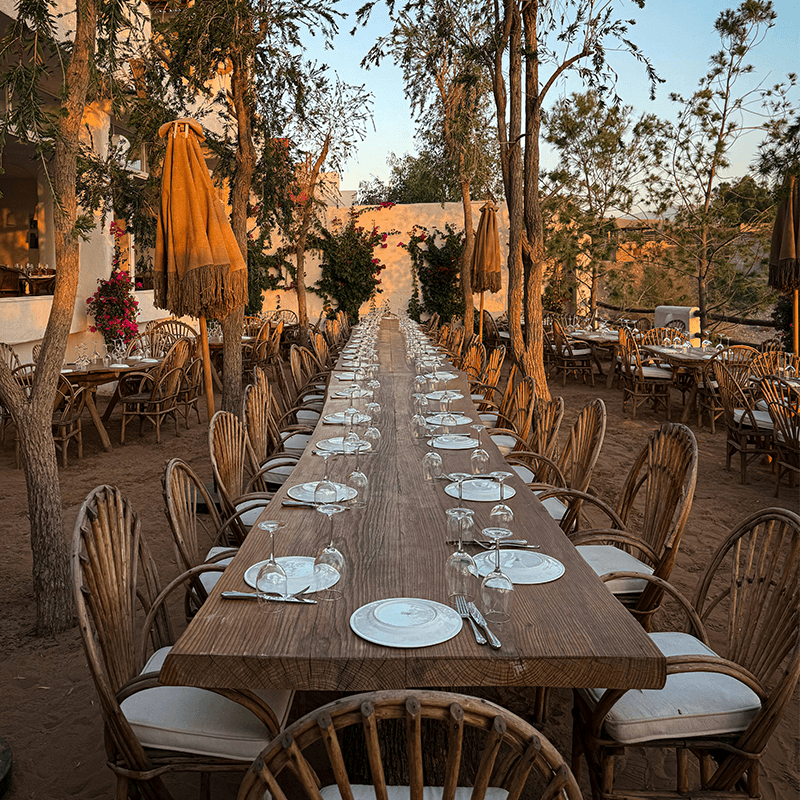 A long table laid under the trees at dusk, the final dinner of a scale-up team retreat