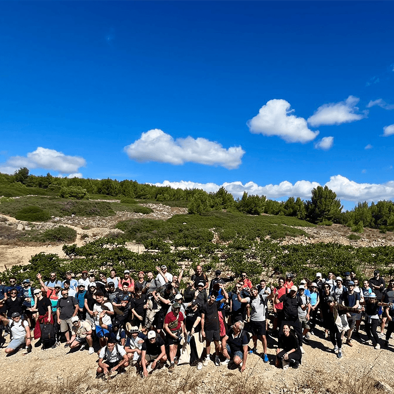 The whole team on a Provence hillside after the group hike, company offsite in France